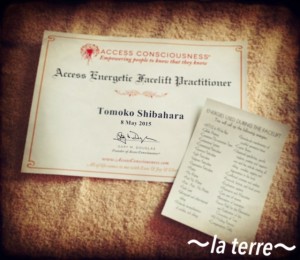 アクセスフェイスリフト